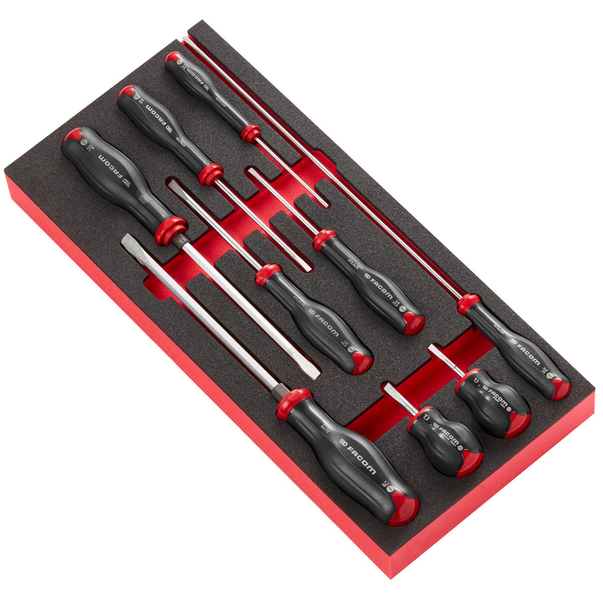 Module van foam met 9 Protwist® schroevendraaiers