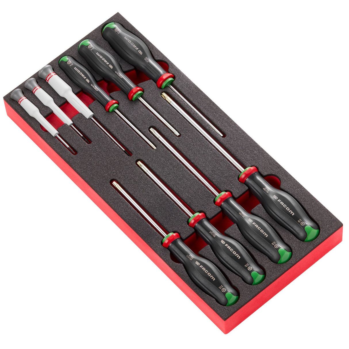 Module van foam met 10 Protwist® schroevendraaiers