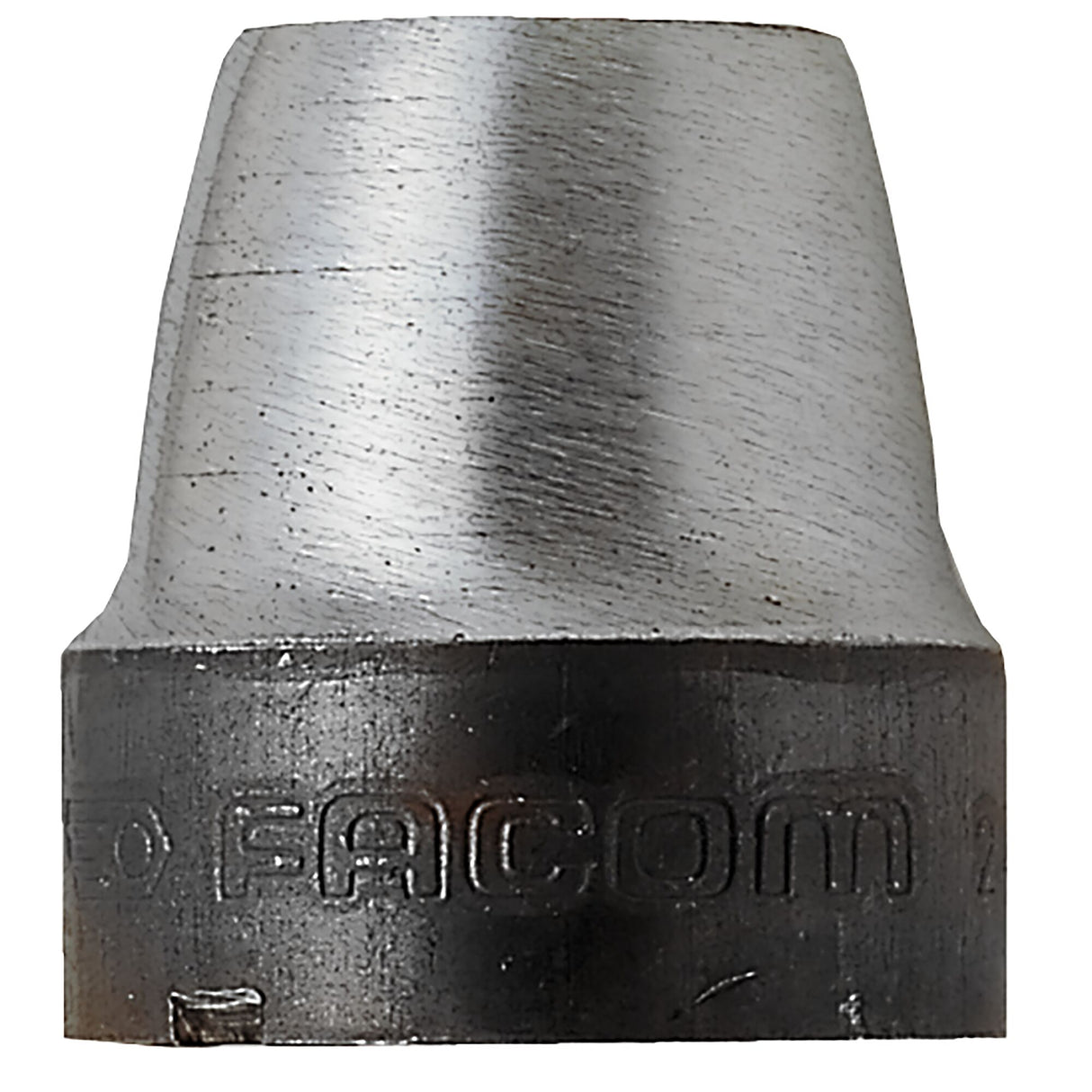 245A.T - Pons