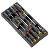  Module van 10 Protwist® schroevendraaiers