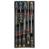  Module van 10 Protwist® schroevendraaiers