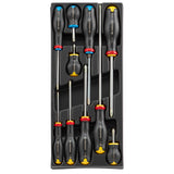  Module van 10 Protwist® schroevendraaiers