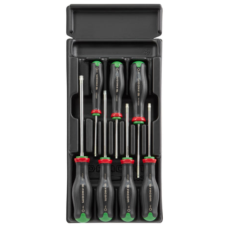 Modules Protwist® Schroevendraaiers Op Een Kunststof Inlay