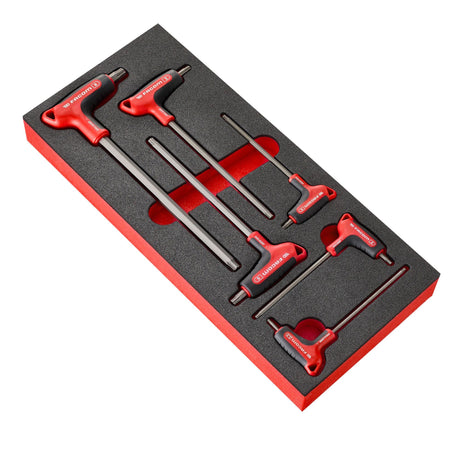 Foam module ogvgrip inbussleutels met t-handgreep 6-delig