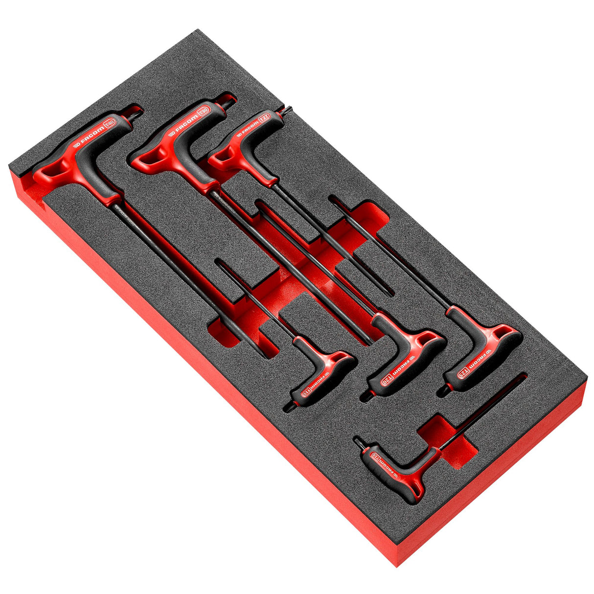 Module Foam Met T-Inbussleutels Torx