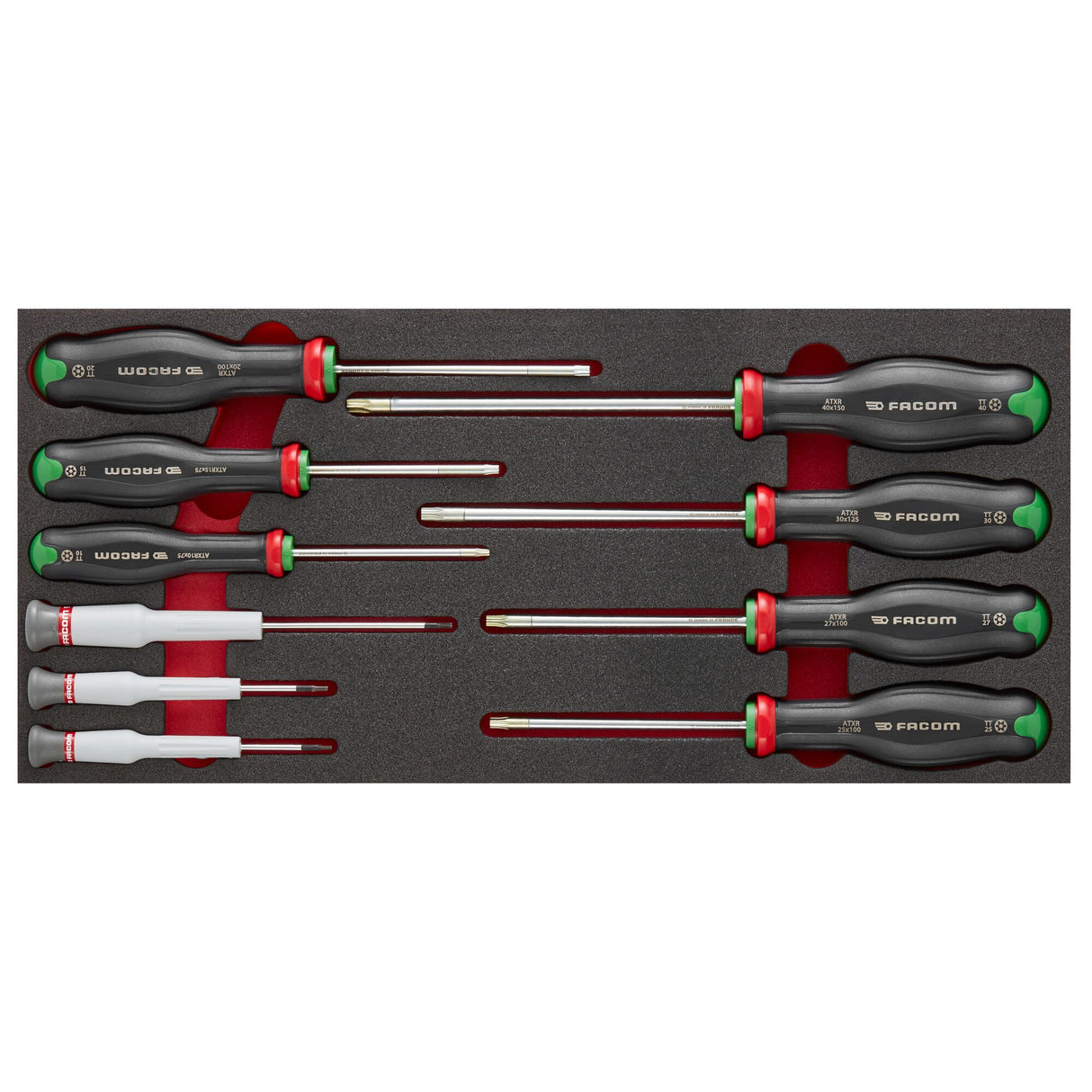  Module van foam met 10 Protwist® schroevendraaiers