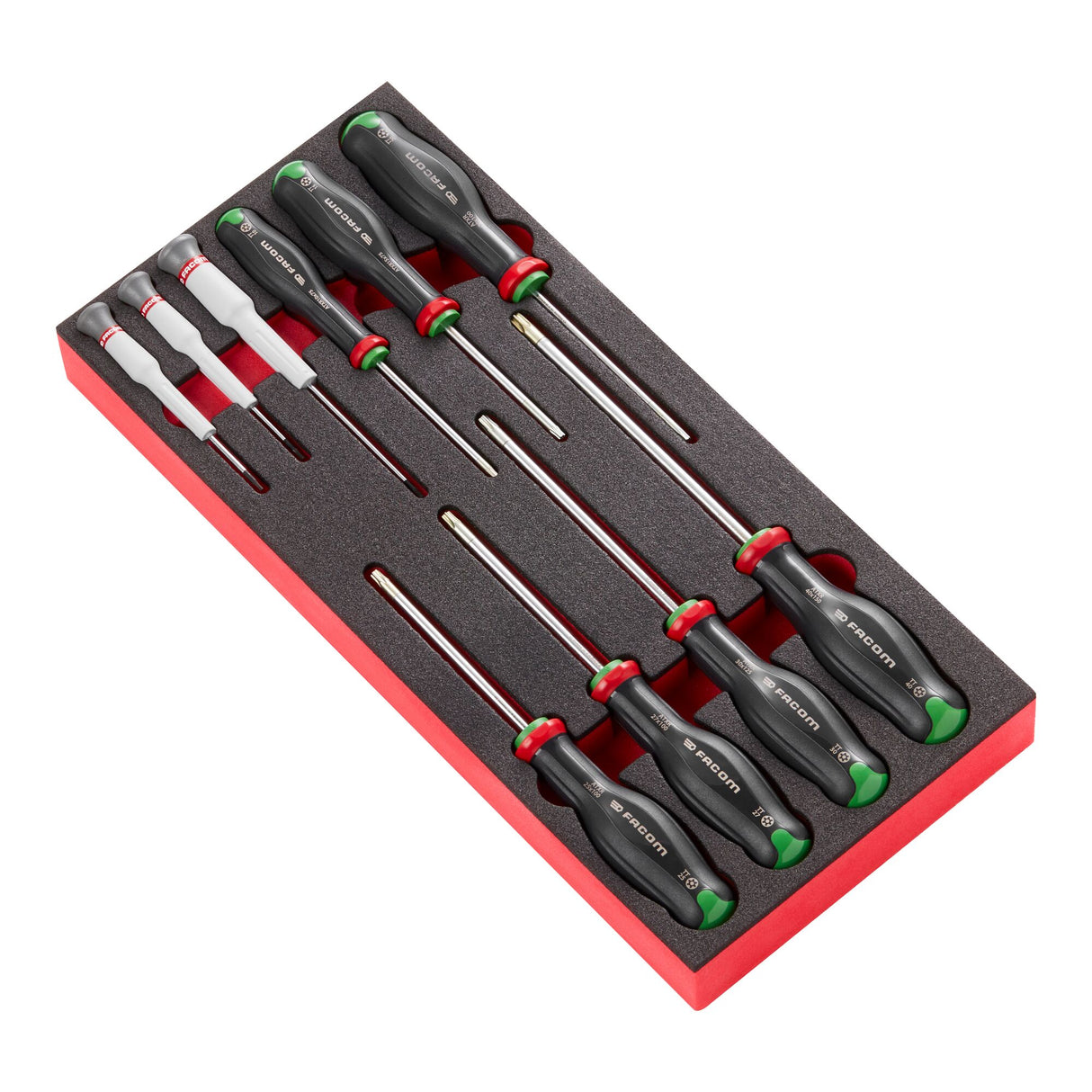  Module van foam met 10 Protwist® schroevendraaiers