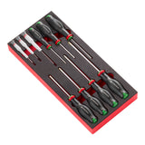  Module van foam met 10 Protwist® schroevendraaiers
