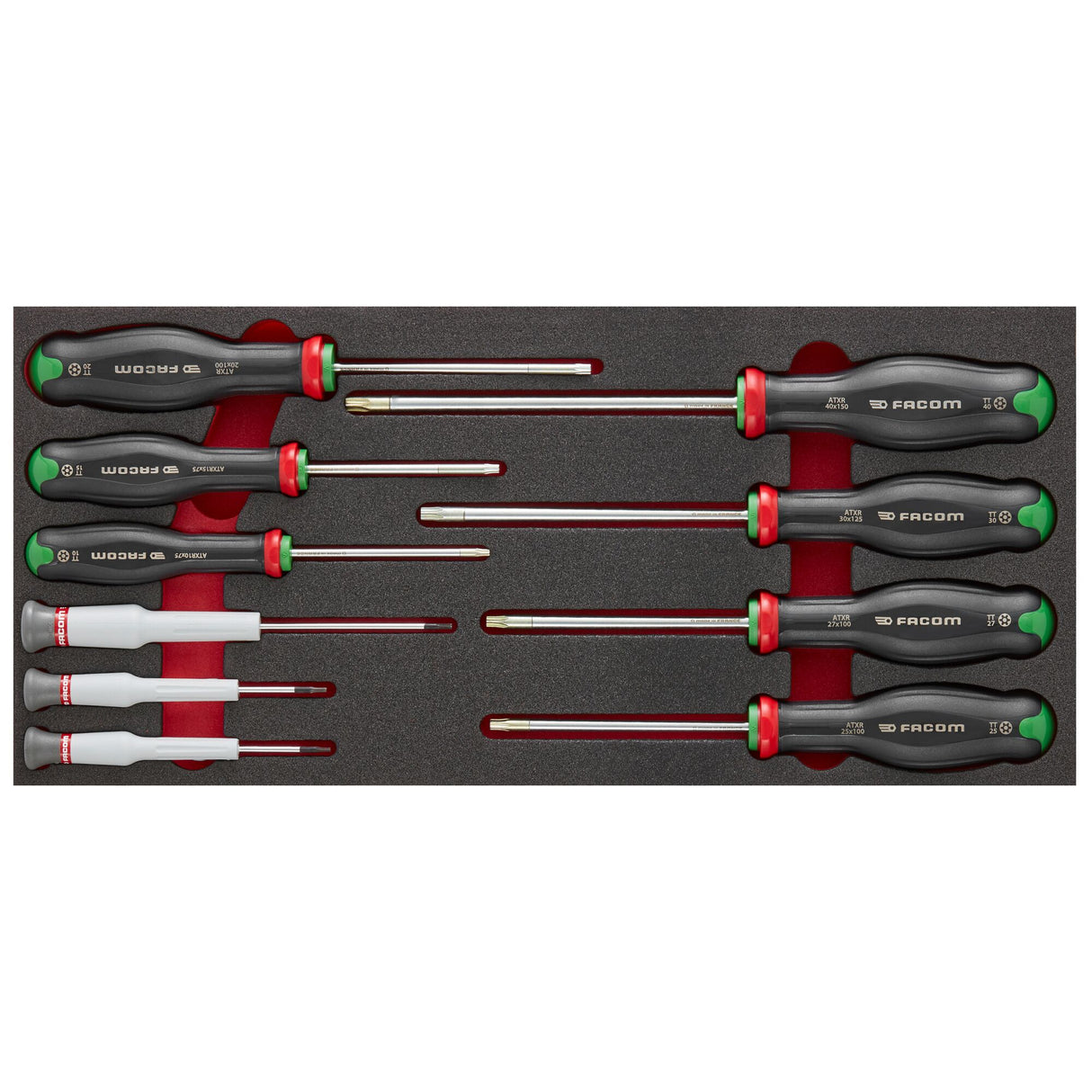  Module van foam met 10 Protwist® schroevendraaiers