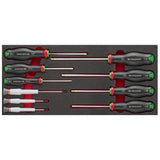  Module van foam met 10 Protwist® schroevendraaiers